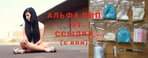 шишки Киренск