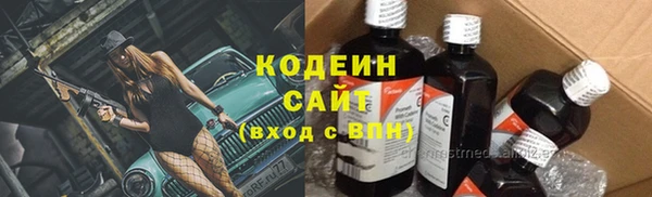 шишки Киренск