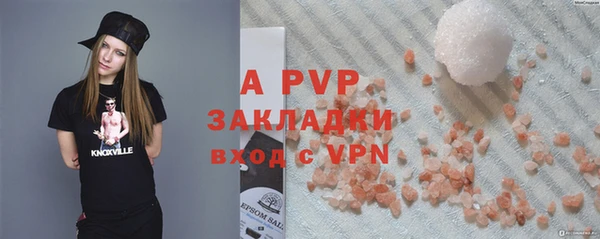 шишки Киренск