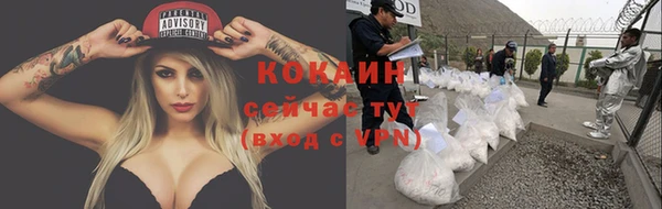 шишки Киренск