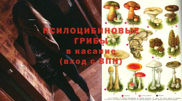 мескалин Киреевск