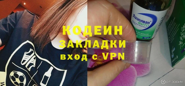 шишки Киренск