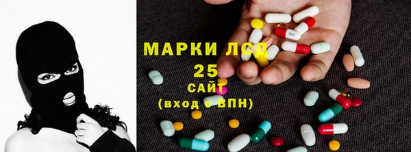 шишки Киренск
