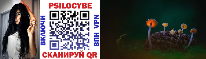 Купить закладки  Верхний Уфалей  Псилоцибиновые грибы мухоморы 